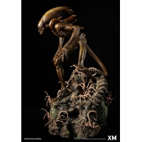 [Pre-Order] XM STUDIO - ALIEN HIVE WARRIOR STATUE