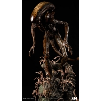 [Pre-Order] XM STUDIO - ALIEN HIVE WARRIOR STATUE