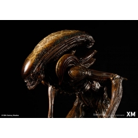 [Pre-Order] XM STUDIO - ALIEN HIVE WARRIOR STATUE