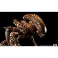 [Pre-Order] XM STUDIO - ALIEN HIVE WARRIOR STATUE