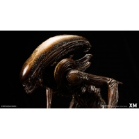 [Pre-Order] XM STUDIO - ALIEN HIVE WARRIOR STATUE