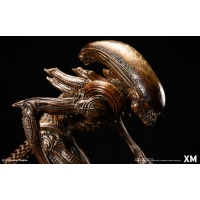 [Pre-Order] XM STUDIO - ALIEN HIVE WARRIOR STATUE