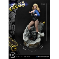 [Pre-Order] PRIME1 STUDIO - MMDC-49: BLACK CANARY (DC COMICS)