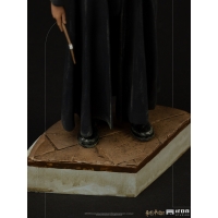 [Pre-Order]  Iron Studios - Harry Potter Art Scale 1/10 - Harry Potter