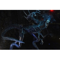 NECA - Xenomorph Queen Ultra Deluxe