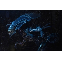 NECA - Xenomorph Queen Ultra Deluxe