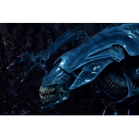 NECA - Xenomorph Queen Ultra Deluxe