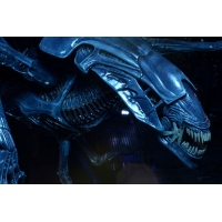 NECA - Xenomorph Queen Ultra Deluxe