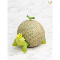 Taurus Workshop [Vegetables Fairy] -  Turtle Melon