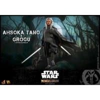 [Pre-Order]  Hot Toys - DX20 - Star Wars™ The Mandalorian™－1/6th scale Ahsoka Tano™ Collectible Figure