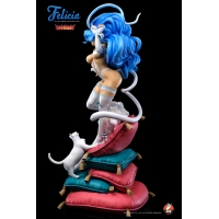 H.M.O. Collectibles - Darkstalkers Felicia (White)