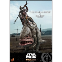 [Pre-Order]  Hot Toys - TMS045 - Star Wars: The Mandalorian - 1/6th scale Blurrg Collectible