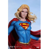 [Pre-Order] XM Studio - DC Comics Wonder Woman Courage David Finch (Colour Ver) Diorama Statue