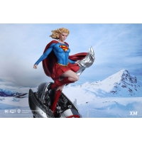 [Pre-Order] XM Studio - DC Comics Wonder Woman Courage David Finch (Colour Ver) Diorama Statue