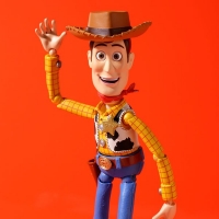 Revoltech Tokusatsu - No.010 - TOY STORY - Woody