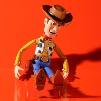 Revoltech Tokusatsu - No.010 - TOY STORY - Woody