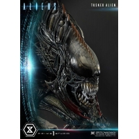 [Pre-Order] PRIME1 STUDIO - PMDHAL-05S: TUSKED ALIEN BONUS VERSION (DARK HORSE COMICS)