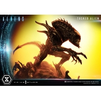 [Pre-Order] PRIME1 STUDIO - PMDHAL-05S: TUSKED ALIEN BONUS VERSION (DARK HORSE COMICS)