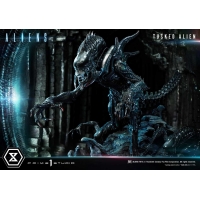 [Pre-Order] PRIME1 STUDIO - PMDHAL-05S: TUSKED ALIEN BONUS VERSION (DARK HORSE COMICS)