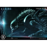 [Pre-Order] PRIME1 STUDIO - PMDHAL-05S: TUSKED ALIEN BONUS VERSION (DARK HORSE COMICS)