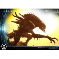 [Pre-Order] PRIME1 STUDIO - PMDHAL-05S: TUSKED ALIEN BONUS VERSION (DARK HORSE COMICS)