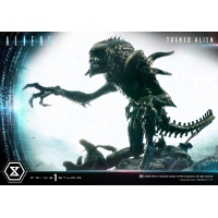 [Pre-Order] PRIME1 STUDIO - PMDHAL-05S: TUSKED ALIEN BONUS VERSION (DARK HORSE COMICS)