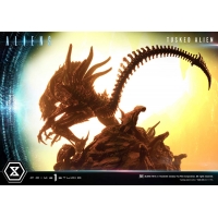 [Pre-Order] PRIME1 STUDIO - PMDHAL-05S: TUSKED ALIEN BONUS VERSION (DARK HORSE COMICS)