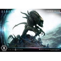 [Pre-Order] PRIME1 STUDIO - PMDHAL-05S: TUSKED ALIEN BONUS VERSION (DARK HORSE COMICS)