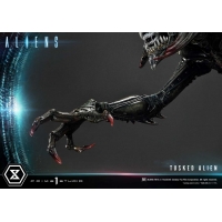 [Pre-Order] PRIME1 STUDIO - PMDHAL-05S: TUSKED ALIEN BONUS VERSION (DARK HORSE COMICS)