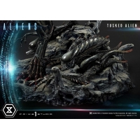 [Pre-Order] PRIME1 STUDIO - PMDHAL-05S: TUSKED ALIEN BONUS VERSION (DARK HORSE COMICS)