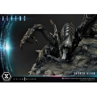 [Pre-Order] PRIME1 STUDIO - PMDHAL-05S: TUSKED ALIEN BONUS VERSION (DARK HORSE COMICS)