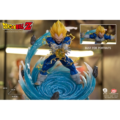 Ryu Studio - Dragon Ball Z - Vegeta final flash