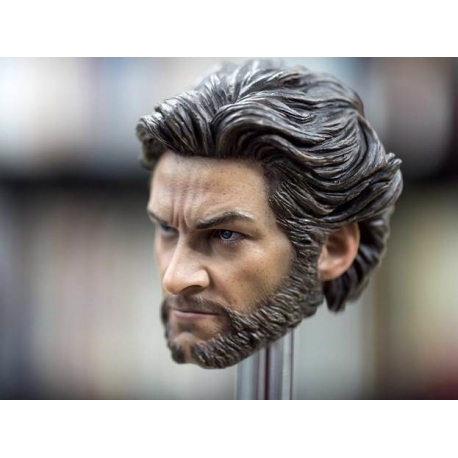 Custom 1/6 Wolverine head