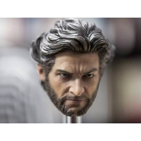 Custom 1/6 Wolverine head