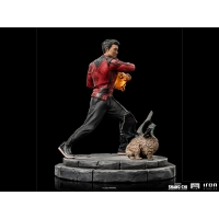 [Pre-Order] Iron Studios - Stephen Strange – Doctor Strange 2 – BDS Art Scale 1/10