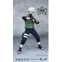 Inflames - RM003 - Ninja Storm Ver 2.0