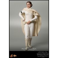 [Pre-Order] Hot Toys - MMS677 - SW Episode II: Attack of the Clones™ 1/6th Anakin Skywalker