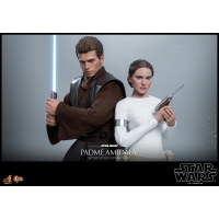 [Pre-Order] Hot Toys - MMS677 - SW Episode II: Attack of the Clones™ 1/6th Anakin Skywalker