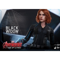 Hot Toys - Avengers: Age of Ultron:  Black Widow 