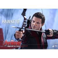 Hot Toys - Avengers: Age of Ultron: Hawkeye  