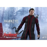 Hot Toys - Avengers: Age of Ultron: Hawkeye  