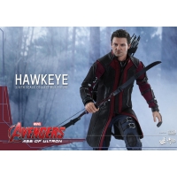 Hot Toys - Avengers: Age of Ultron: Hawkeye  