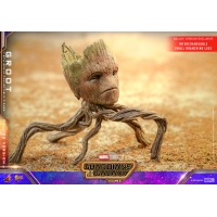 [Pre-Order] Hot Toys - MMS706 - Guardians of the Galaxy Vol. 3 - 1/6th scale Groot Collectible Figure