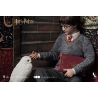 INART - 1/6 Harry Potter - Harry Potter Hogwarts Uniform 1/6 Collectible Figures (Deluxe Version)