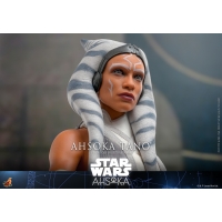 [Pre-Order] Hot Toys - TMS117 - Star Wars: Ahsoka - 1/6th scale Marrok Collectible Figure