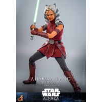 [Pre-Order] Hot Toys - TMS127 - Star Wars - Ahsoka - 1/6th scale Mandalorian Super Commando Collectible Figure