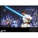 Hot Toys -  Star Wars: Episode IV A New Hope - Luke Skywalker