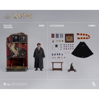 [Pre-Order]  INART - Harry Potter and the Philosophers Stone - 1/6 scale Ron Weasley Collectible Figure (Deluxe Version)