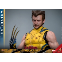 [Pre-Order] Hot Toys - MMS753 - Deadpool & Wolverine - 1/6th scale Wolverine Collectible Figure 