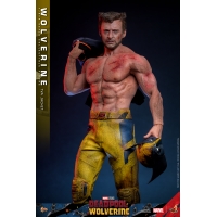 [Pre-Order] Hot Toys - MMS756 - Deadpool & Wolverine - 1/6th scale Wolverine (TVA Jacket Version) Collectible Figure